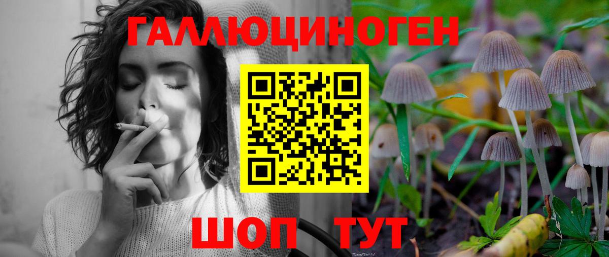 Псилоцибиновые грибы Cubensis Красноуфимск
